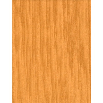 Bazzill Basics: Fourz Cardstock