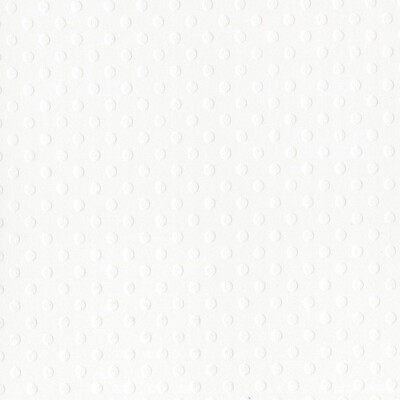 Bazzill Basics: Dotted Swiss Cardstock