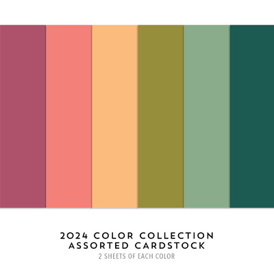 8.5X11 Cardstock Pack, 2024 Color Collection Assorted (12 Sheets)