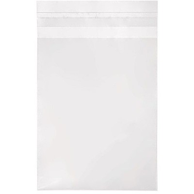 Crystal Clear Flap Seal Bags, 4 5/8" x 5 3/4" + Flap