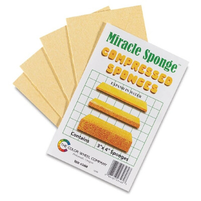 Miracle Sponges, 3" x 4" (4pk)