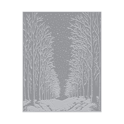 Letterpress + Hot Foil Plate, Snowy Night