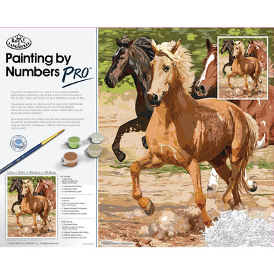 Royal & Langnickel: Painting By Numbers - Pro