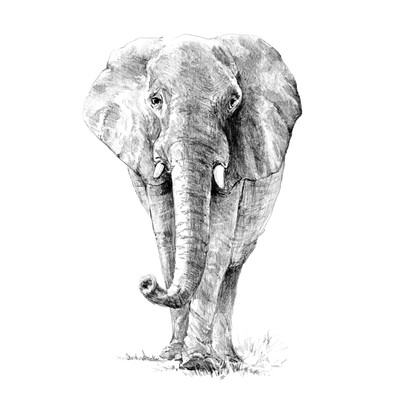 Royal & Langnickel: Sketching Made Easy