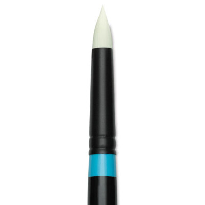 Princeton Artist Brush Co.: Aspen - Short Round Pointed