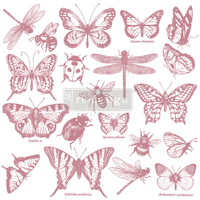Prima: Redesign - Clearly Aligned Stamps