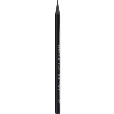 Pentalic: Artist Tools - Woodless Graphite Pencils