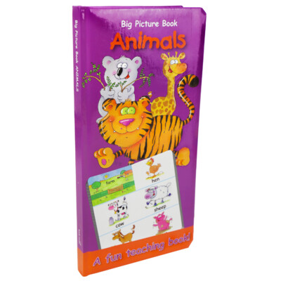 SpiceBox: Early Learning & Educational - Long Board Big Picture Books