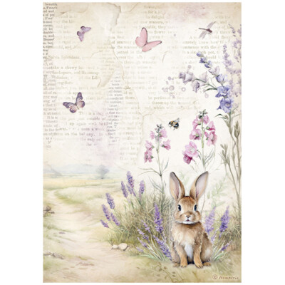 Stamperia: Romantic Collection