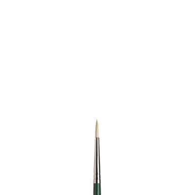 Winsor & Newton: Winton Hog Brushes - Round