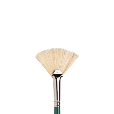 Winsor & Newton: Winton Hog Brushes - Fan